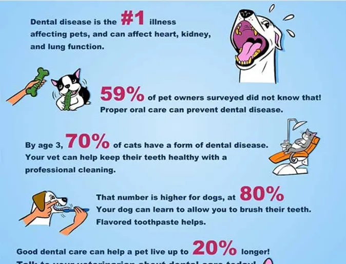 Chart of Dental Care Helps Your Pet Live Longer